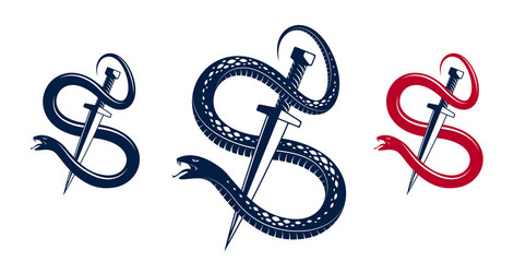 dagger kills a snake defeated serpent wraps vector image