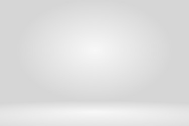 Grey Studio Gradient Wall Background vector image