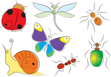 Insect collection vector