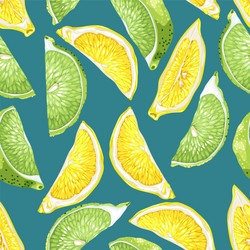 Seamless pattern with citrus slices of lemon vector