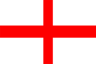 flag rectangular shape vector image