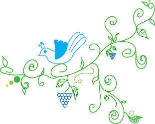 Doodle color abstract vine grape and bird vector