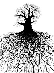 Poplar Tree Roots Vector Tree roots Royalty Free Vector Image - VectorStock
