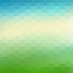 Geometric Triangle Background vector image
