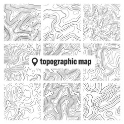 topographic map with contour lines geographic vector image