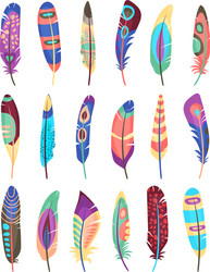 Colored feathers set Royalty Free Vector Image