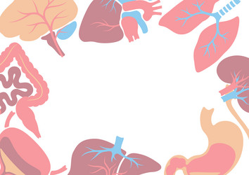 Heart internal organ human body Royalty Free Vector Image