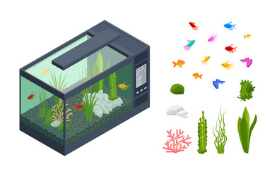 Isometric Goldfish Aquarium Scene vector image