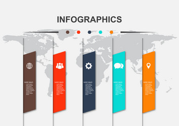 Infographic Template with Multiple Options vector image