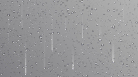 drops water rain on grey background realistic vector