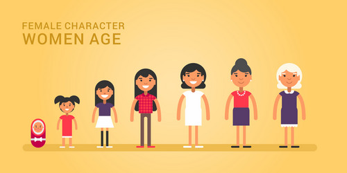 women age generations life stages of web Vector Image