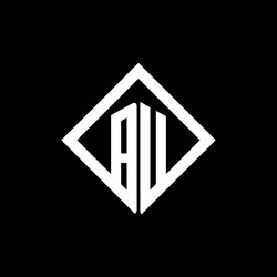 bu logo monogram with square rotate style design vector image