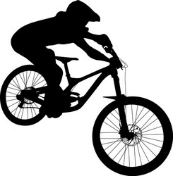 Downhill mountain bike Royalty Free Vector Image