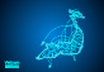 vietnam map with nodes linked by lines concept vector image