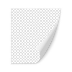 Blank page vector