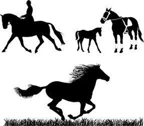 Equestrian Horse Silhouettes Vector Image