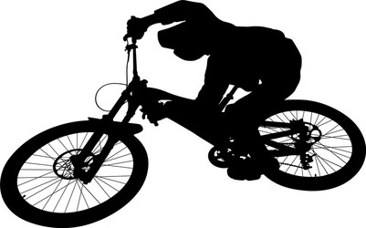 Downhill mountain bike Royalty Free Vector Image