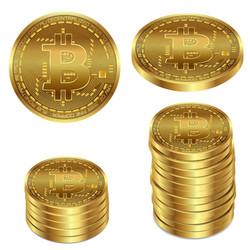 a golden bitcoin on white background vector