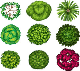 Tree Top View Collection vector image