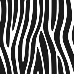 Zebra Print Seamless Pattern vector image