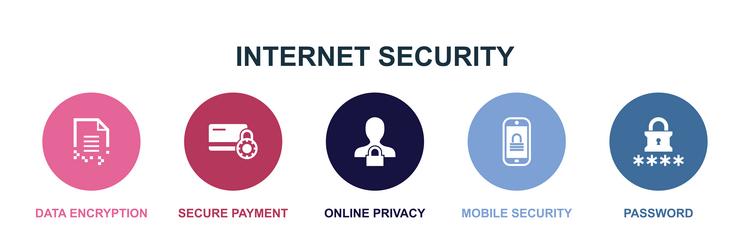 data encryption secure payment online privacy vector image