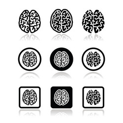 Brain Icon Set - Cognitive Concepts vector image