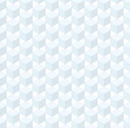 Isometric Box Grid Pattern vector image