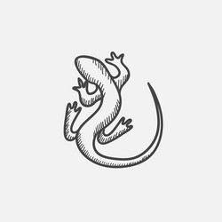 Salamander hand drawn sketch icon Royalty Free Vector Image