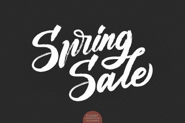 Hand drawn lettering spring sale elegant modern vector