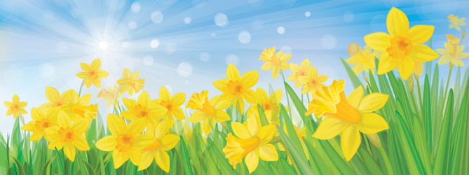 Spring flowers vector