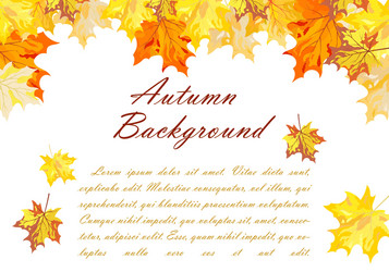 Wooden frame with autumn leaves rowan and maple Vector Image