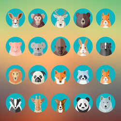 flat style animal portraits or avatars icon vector