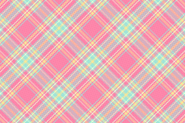 tartan plaid pattern with texture and summer color vector image