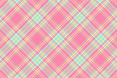 tartan plaid pattern with texture and summer color vector