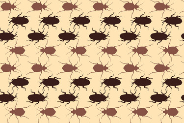 seamless pattern with bugs endless background vector image