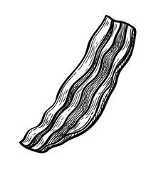 Ink sketch fried bacon vector