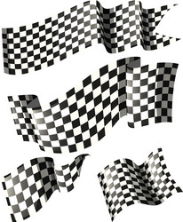 Racing Flag Set - Checkerboard Patterns vector image