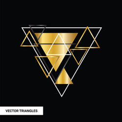 concept gold polygon dynamic modern arts template vector image