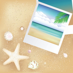 Tropical Beach Vacation Background Vector Image