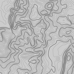 topographic map background with space for copy vector image