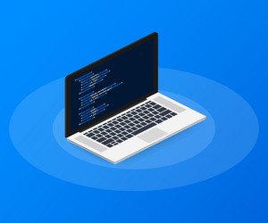 Programming Skills Isometric Concept vector image