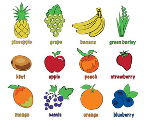 Set fruit icons Royalty Free Vector Image - VectorStock