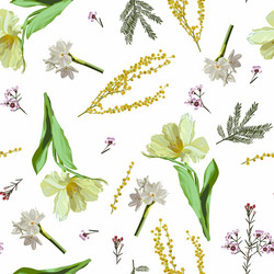 floral seamless spring pattern with tulip mimosa vector image
