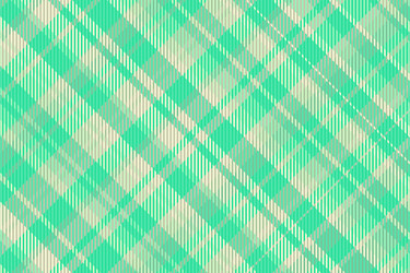 tartan plaid pattern with texture and summer color vector image