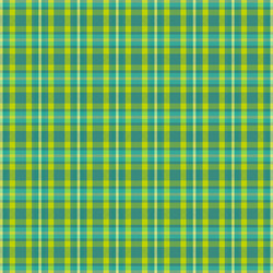 tartan plaid pattern with texture and summer color vector image