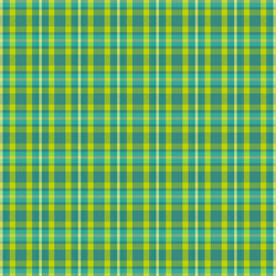 Tartan plaid pattern with texture and summer color vector