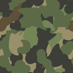 Army camouflage pattern vector