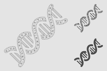 dna spiral mesh network model and triangle vector image