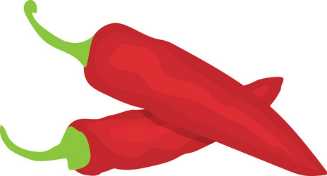 Red chili pepper icon spicy mexican food vector