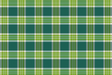tartan plaid pattern with texture and summer color vector image